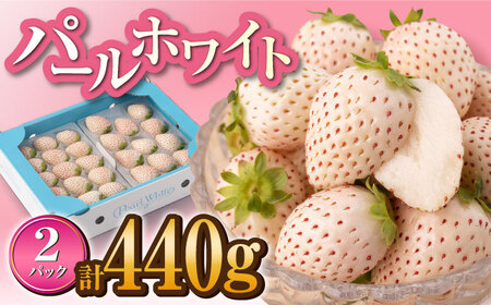 希少な白いちご「パールホワイト」220g×2p / いちご [IZZ003] | 佐賀県