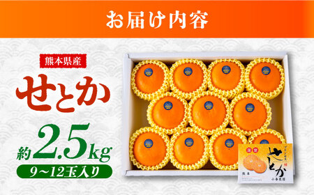 26年2月下発送 せとかみかん約2.5kg化粧箱入り せとか果物ギフトZBN002