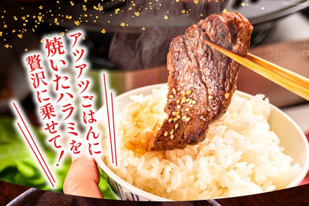 特製タレ漬 牛ハラミ 計1.5kg(300g×5p) ハラミ [モ～ランド 宮城県