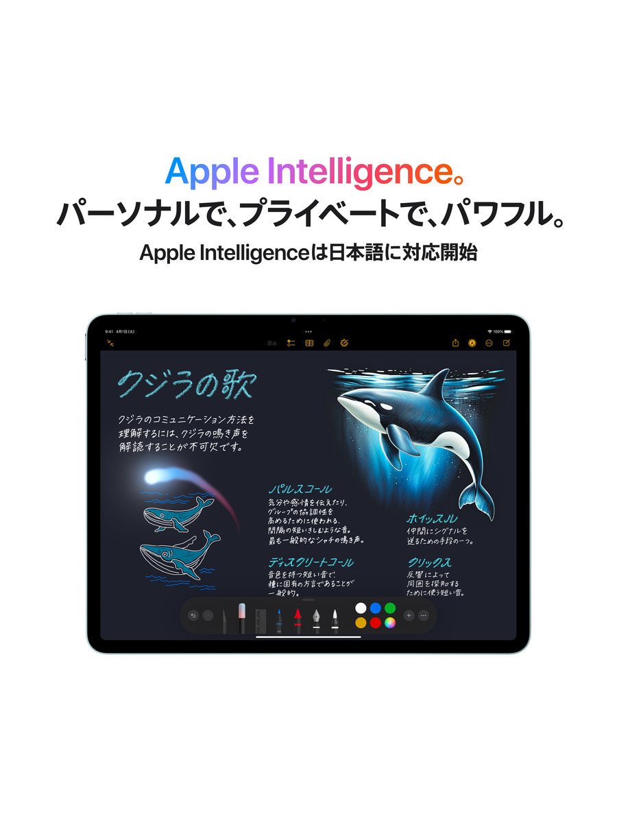 13インチiPad Air（M3）Wi-Fi + Cellularモデル｜C smart公式