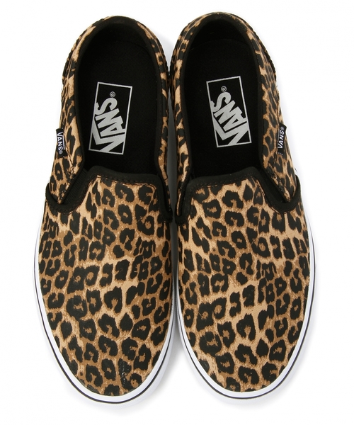 VANS（バンズ）の「VANS ASHER LEO / ヴァンズ / バンズ / レオパード
