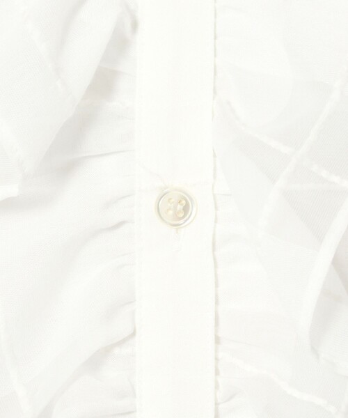 別注】＜dahl'ia＞フリル チェックブラウス-united LOVE project 2025