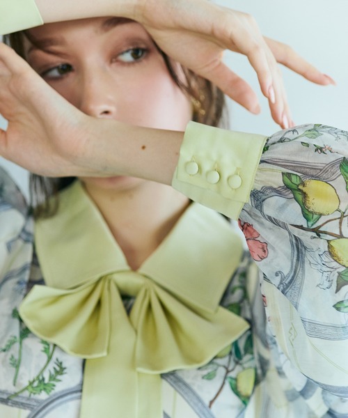 フラワーフレームプリントブラウス（シャツ/ブラウス）｜Audie a Muses