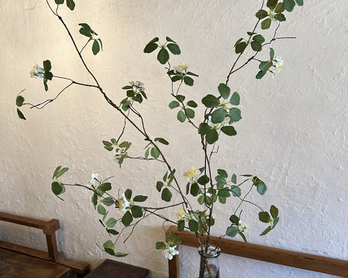 7bfcc6a74c5a8b4efdd065aafe909c