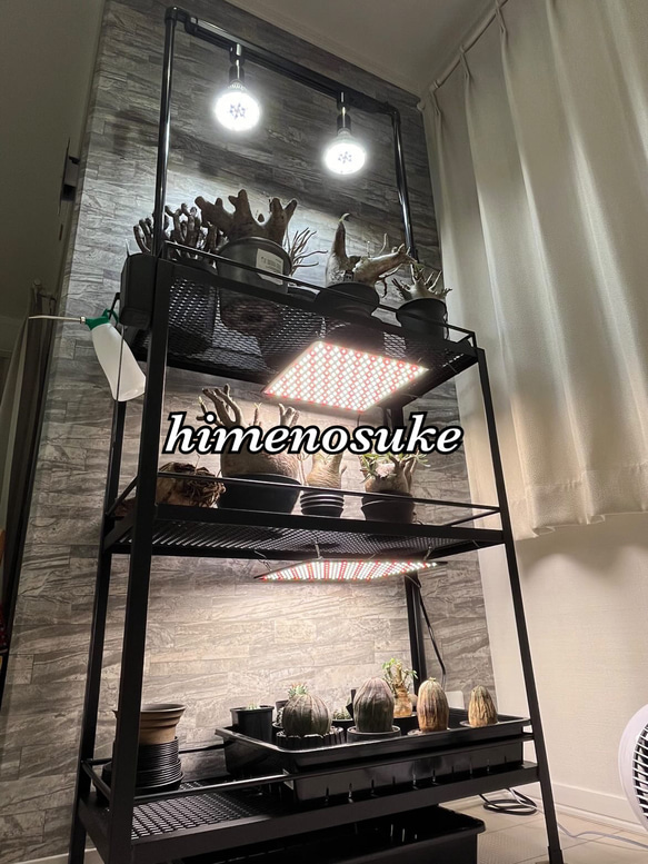 ☆送料込み☆アイアン植物棚 ボタニカルシェルフ3段タイプ アガベ