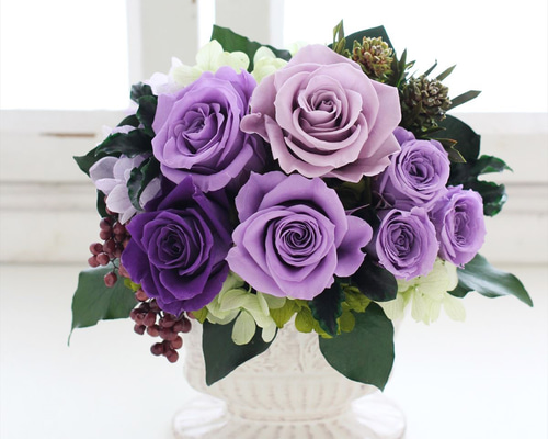 40afa19a04dfdbca7e400b032bb19d