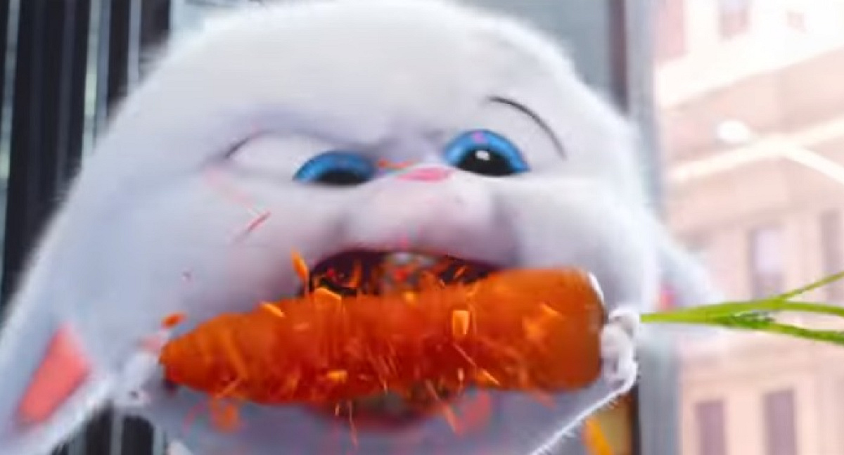 スノーボール／映画『ペット』| キャステル | CASTEL ディズニー情報