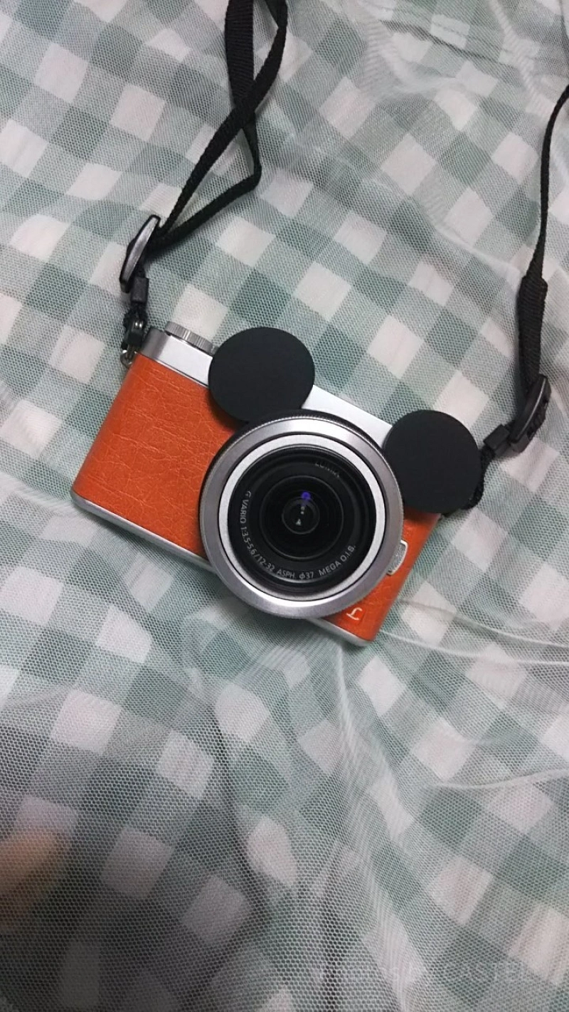 初心者向け】ディズニーにおすすめのカメラグッズ・アクセサリーまとめ！