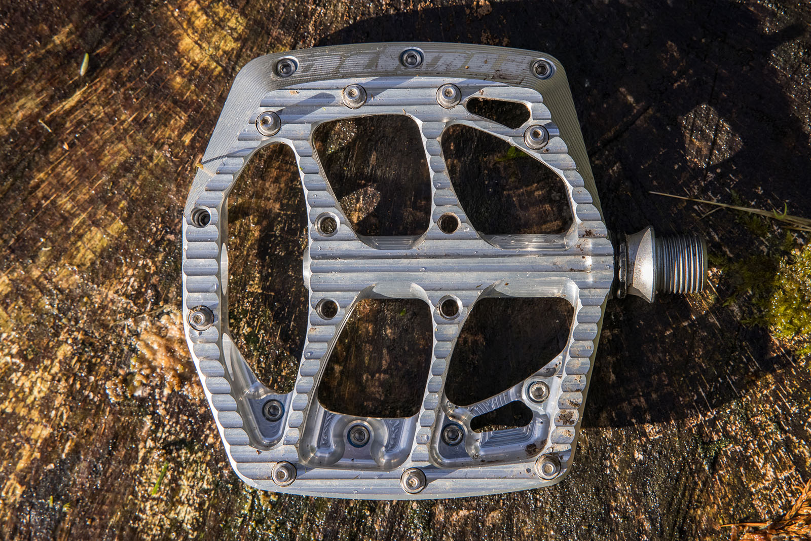 Hope F20 flat pedals review - Pedals - Components