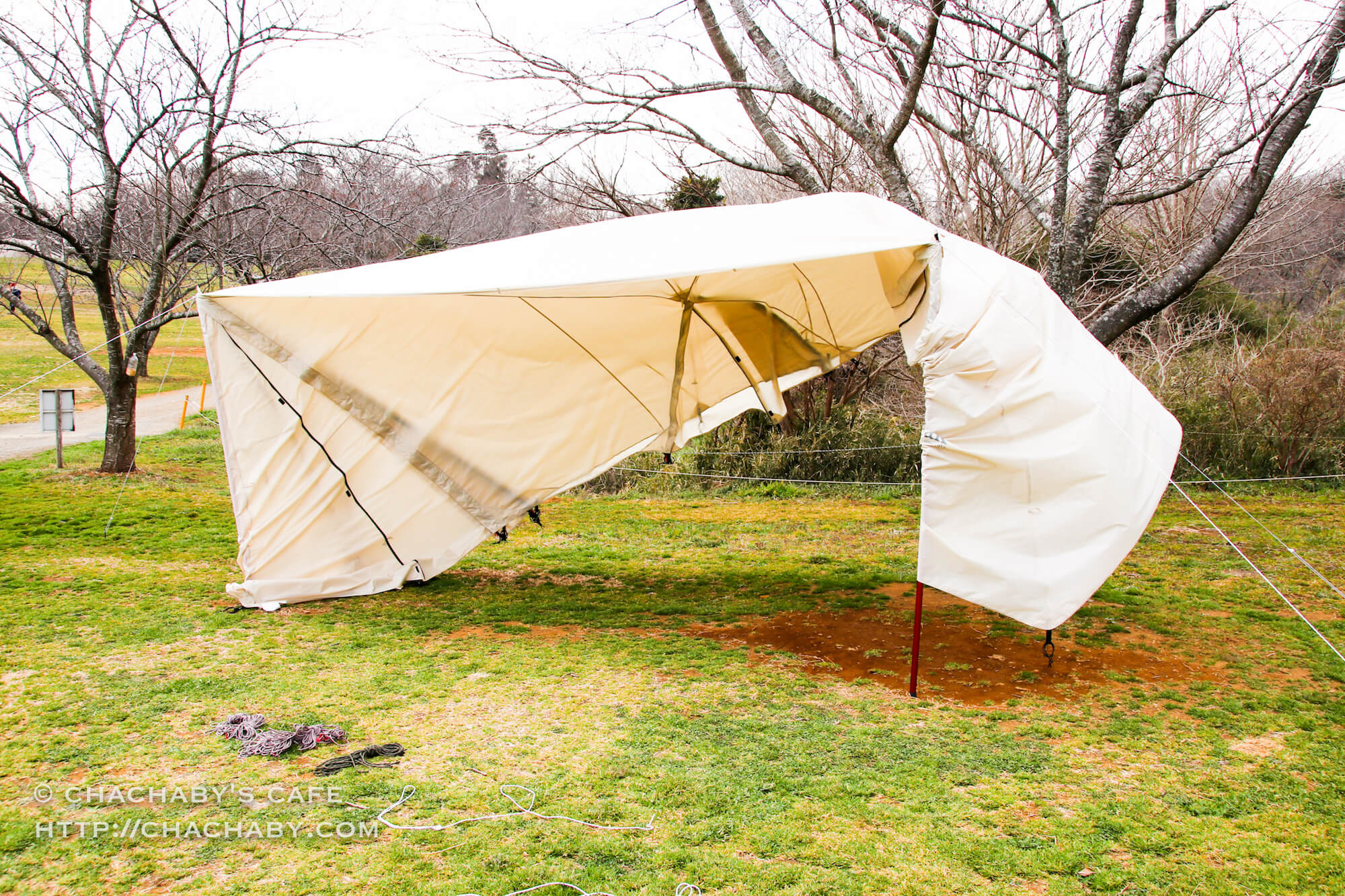 レビュー】ランドステーション アイボリー！ 色んな高さで試したい