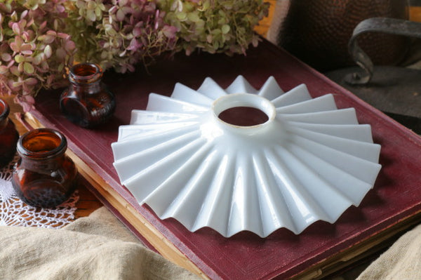 IMG_0251_1-1_grande.jpg?v=