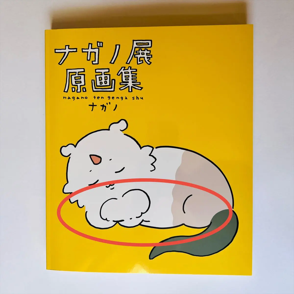 写真-2024-11-25-14-02-41-1_R.