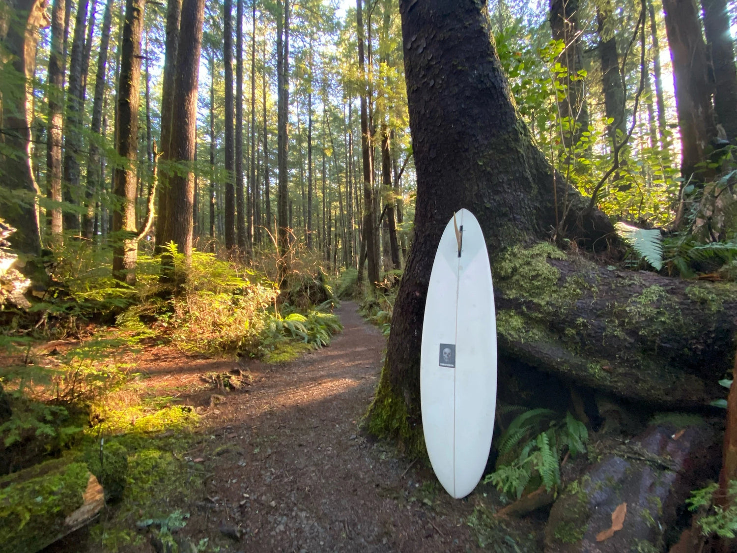 WOLVERINE (ウルヴァリン) | クリステンソン サーフボード 日本公式