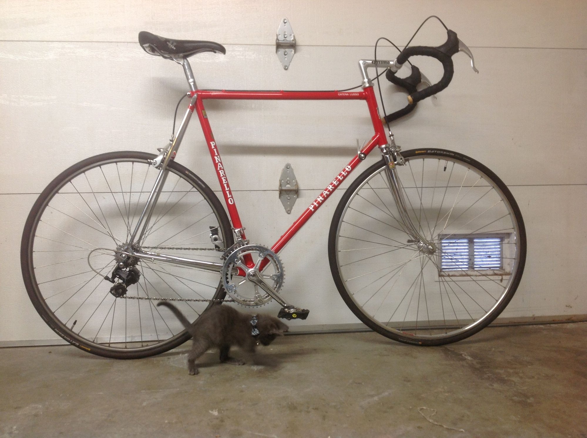 Pinarello Catena Lusso rebuild - Page 3 - Bike Forums