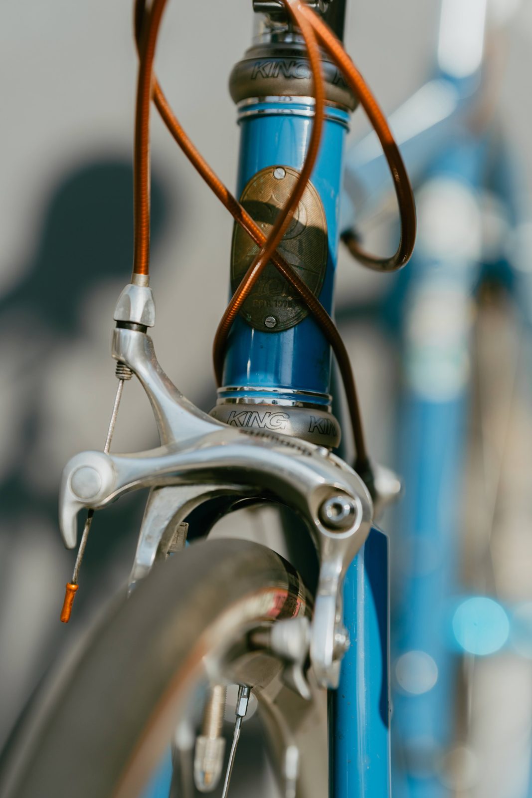 CHRIS KING】NoThreadSet “Titanium” が帰ってきた | Circles／名古屋