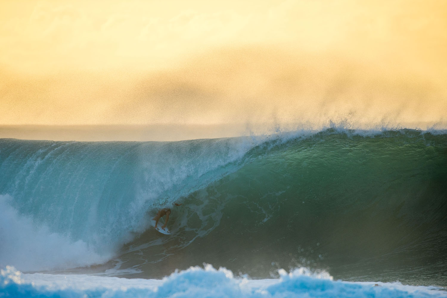 Taco Grinder | チャネルアイランズサーフボード Channel Islands