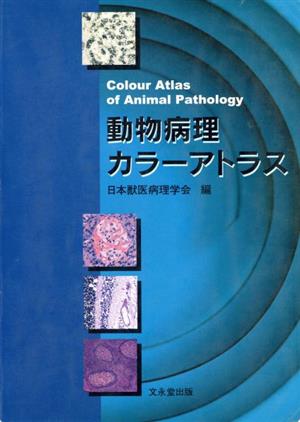 動物病理カラーアトラス 中古本・書籍 | ブックオフ公式オンラインストア