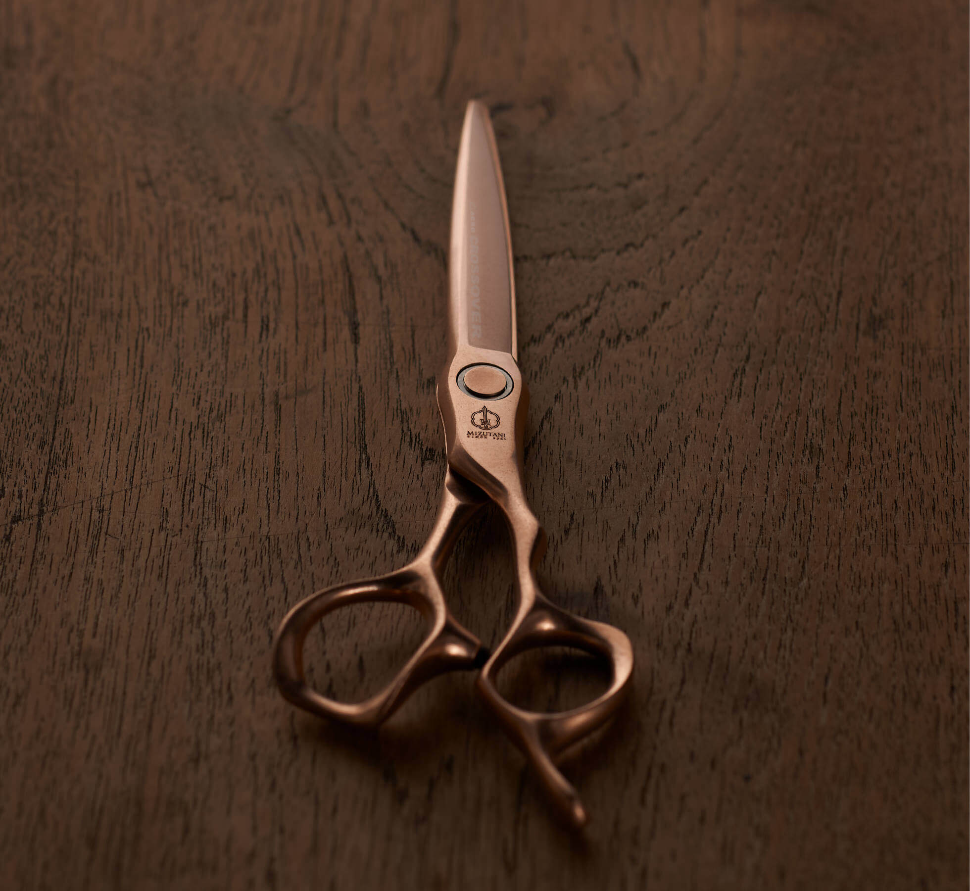 特集 新製品 2025 | ミズタニシザーズ