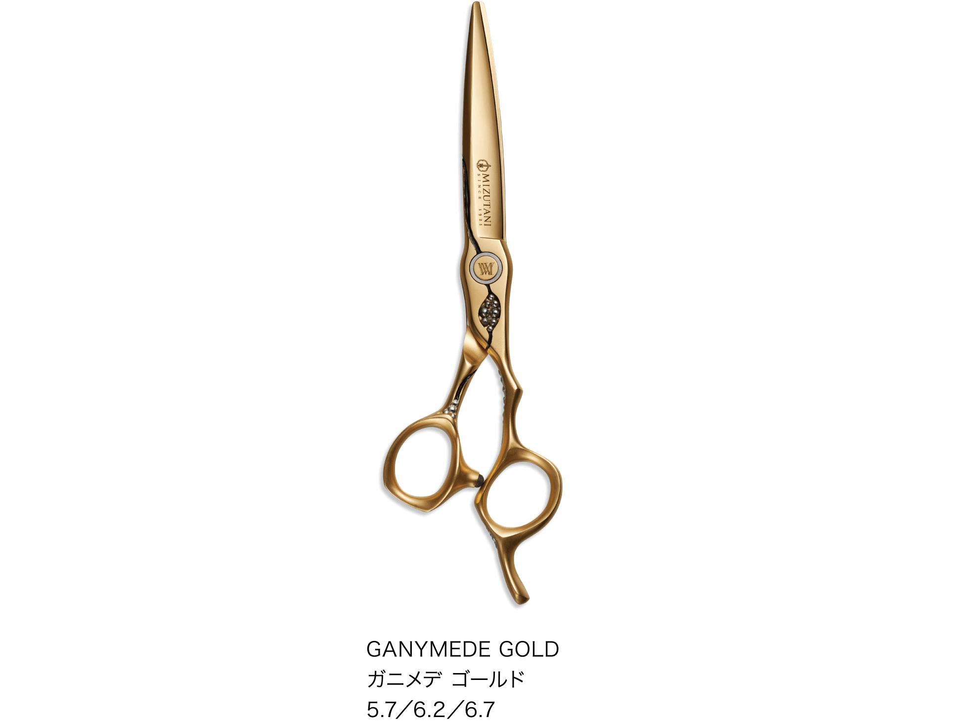 特集 新製品 2025 | ミズタニシザーズ