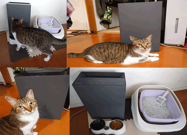 使用レポート】パナソニック 次亜塩素酸 空間除菌脱臭機F-ML4000Bを