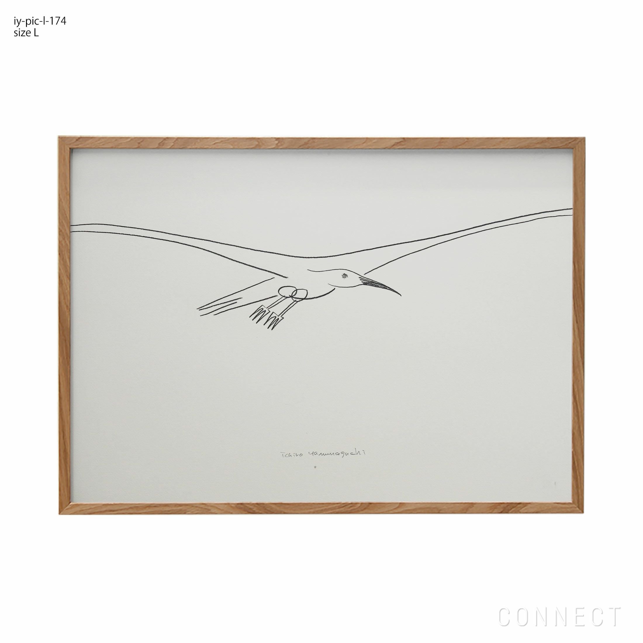 販売終了］山口一郎 / Lサイズ / カモメ / iy-pic-l-199 | CONNECT