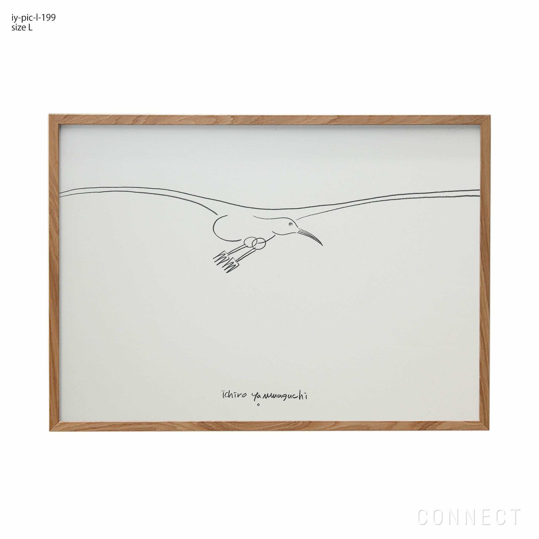 販売終了］山口一郎 / Lサイズ / カモメ / iy-pic-l-199 | CONNECT