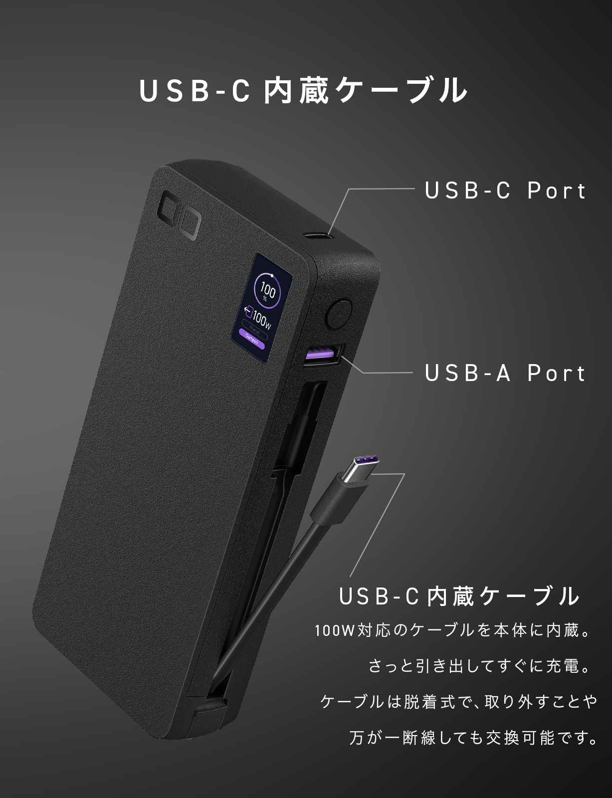 SMARTCOBY Pro CABLE 100W 20K | 株式会社CIO（シーアイオー）公式HP