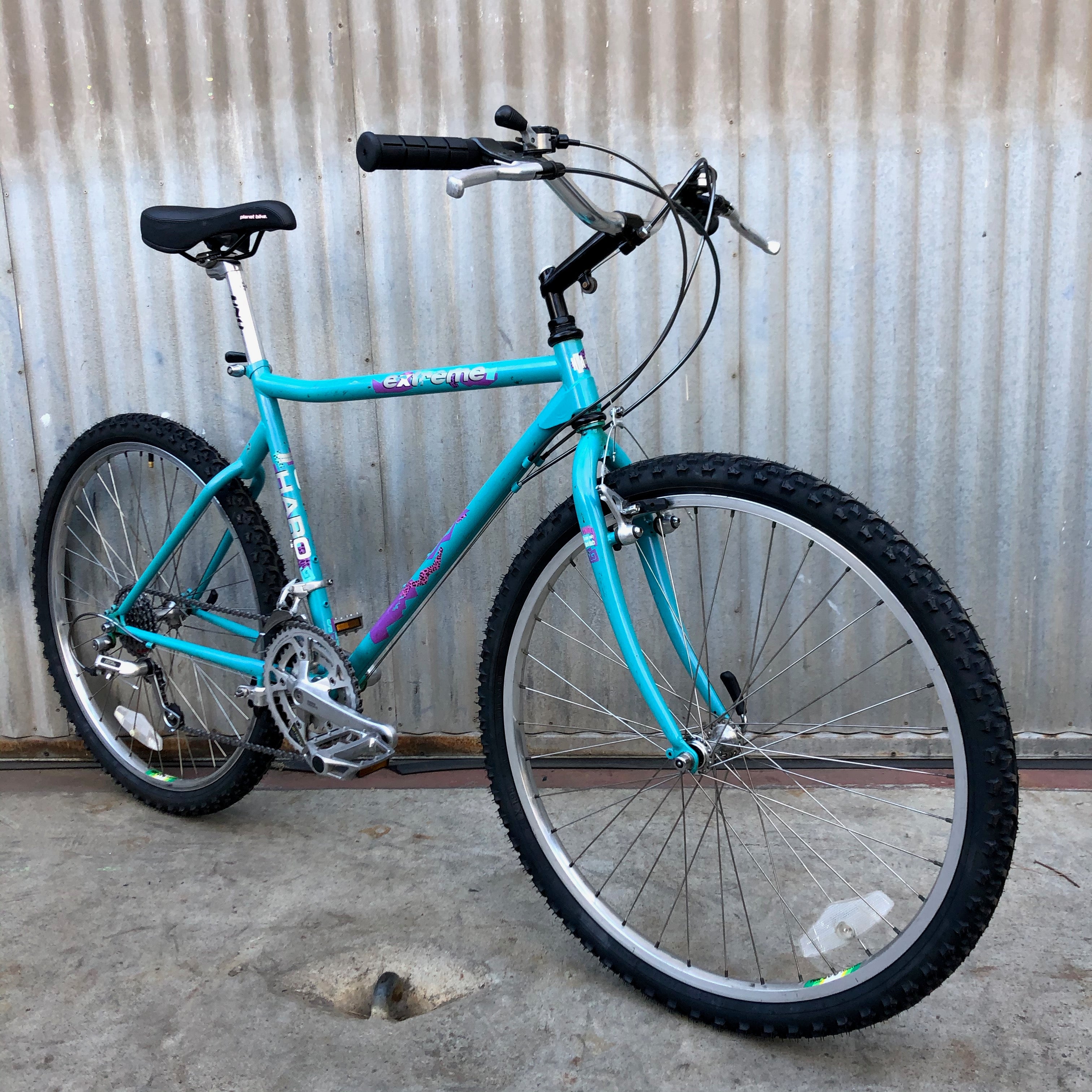 Haro Extreme Vintage MTB as Burrito Slaying City Bike – Coco's Variety