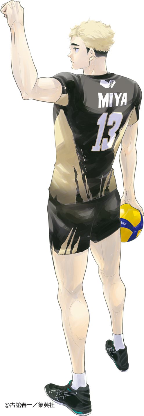 ハイキュー!! × Vリーグ 影山・宮侑・飯綱らセッターの描き下ろし解禁!