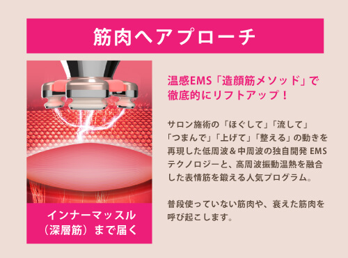 ゾーガンキンブルーム | 株式会社Colors Beauty｜カラーズビューティー