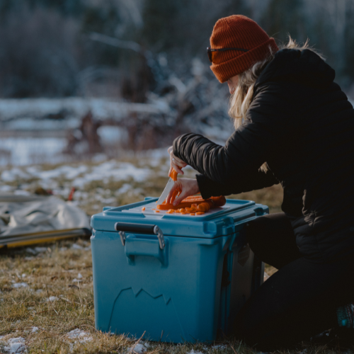 Cooler Dividers for 48qt, 88qt & 128qt Hard Coolers - Cordova Outdoors
