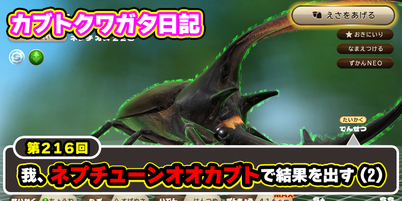 カブトクワガタ日記】第216回 我、ネプチューンオオカブトで結果を出す