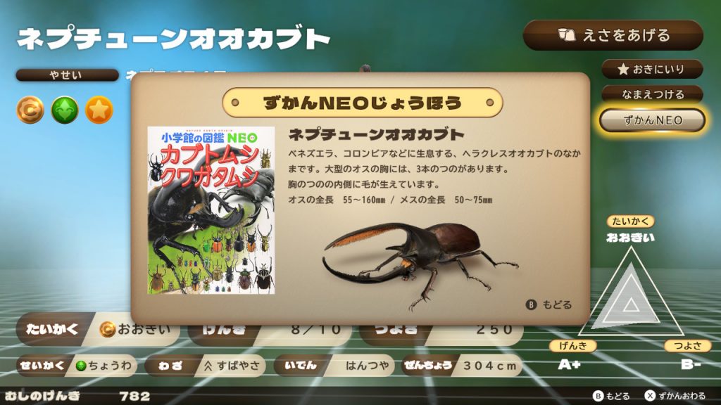 カブトクワガタ日記】第208回 ネプチューンオオカブトを増やせ