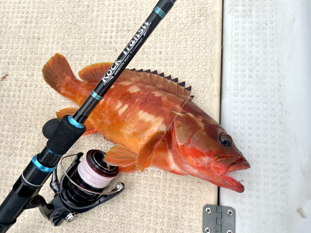 20ヴァンフォード C5000XGのインプレと比較！他機種との違いは