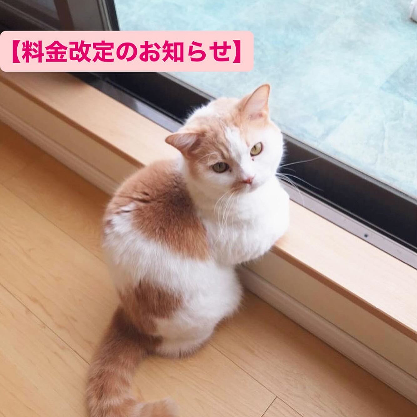 BED18E7F-A750-44E7-9D9F-