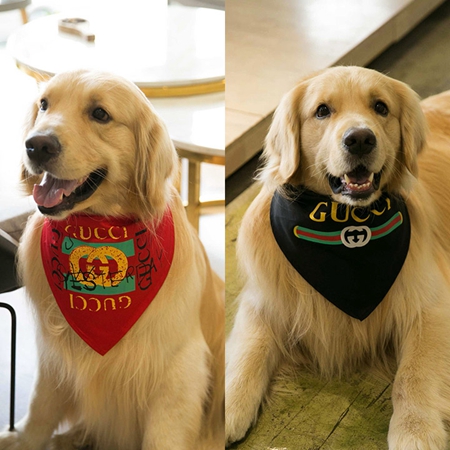 gucci ペットアクセサリー 犬用バンダナ 三角スカーフ 猫 飾り物