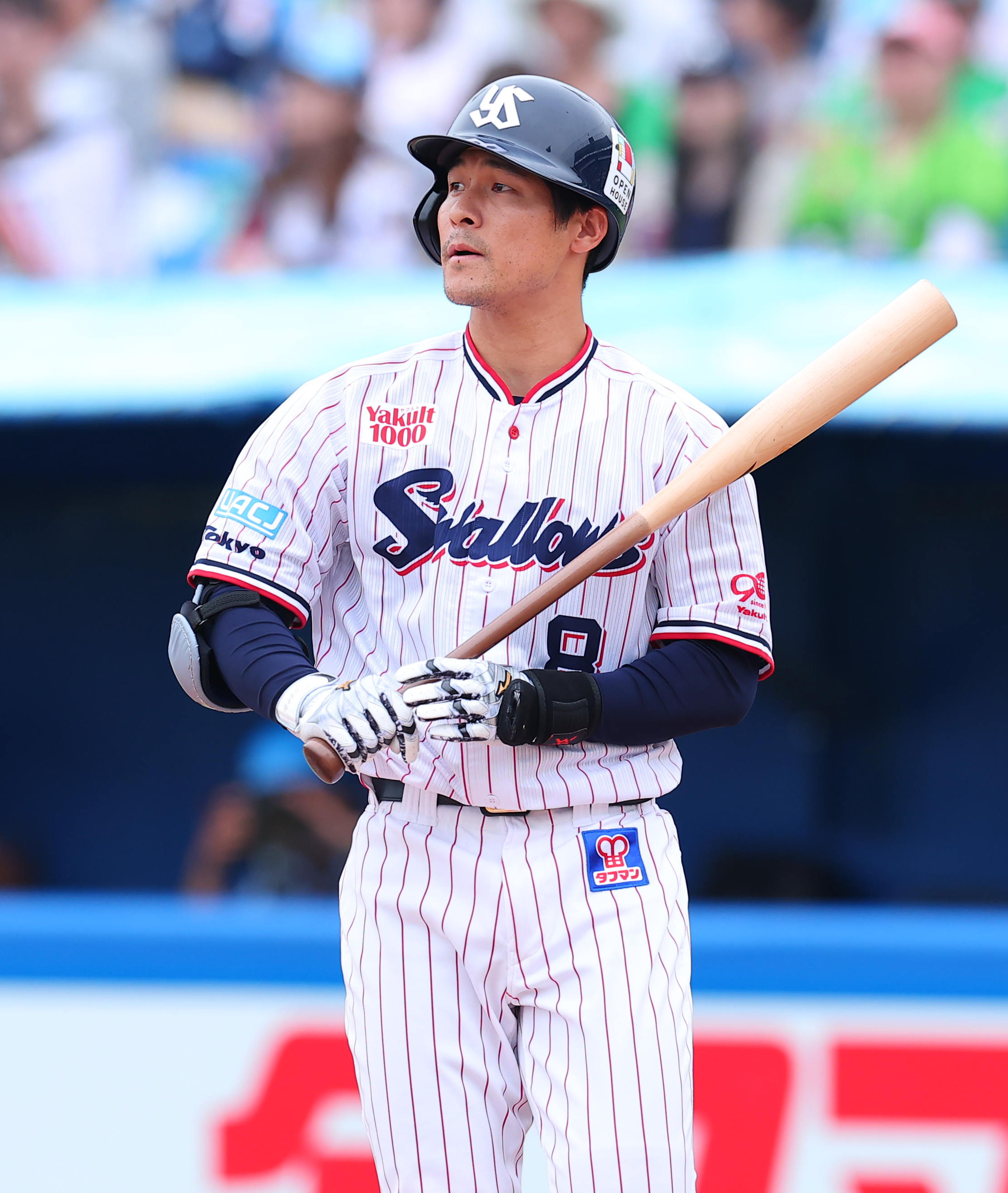 ヤクルト茂木栄五郎が左膝半月板を手術 楽天から移籍1年目、復帰時期は