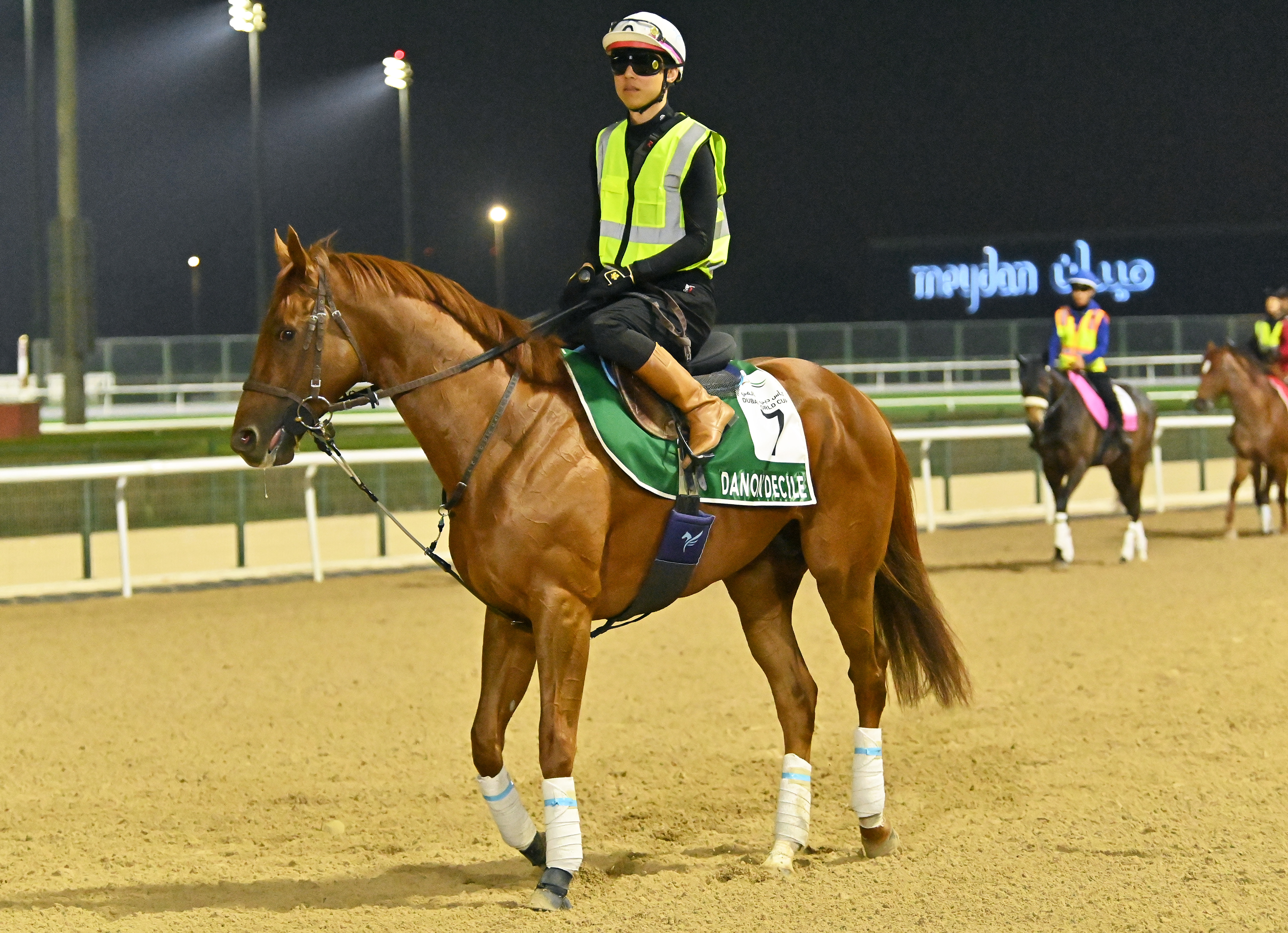 ドバイシーマクラシック 前日の日本馬】ダノンデサイルの安田師