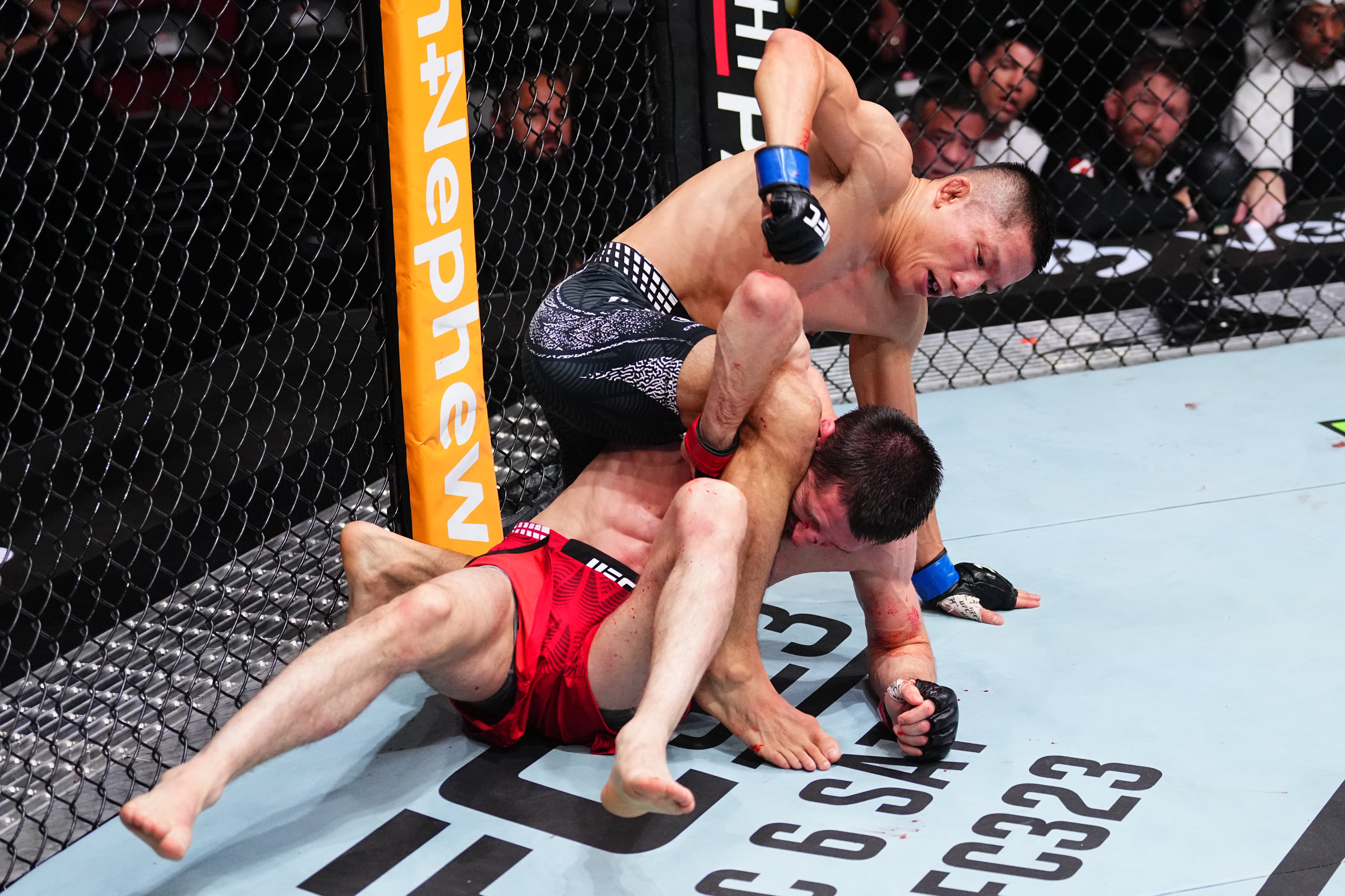 UFC】堀口恭司、9年ぶり復帰戦で圧巻の3回一本勝ち「どこだ