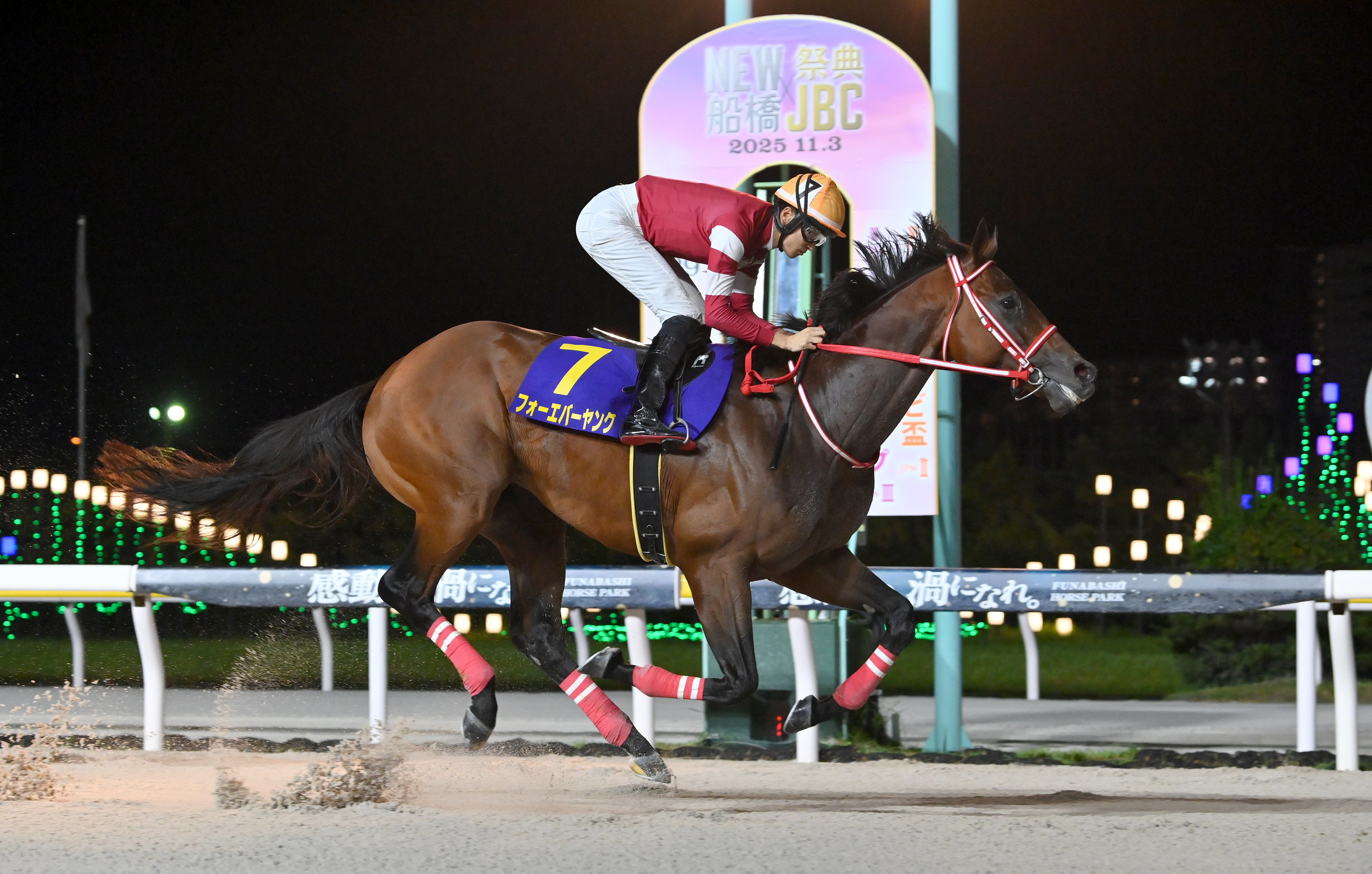 BCクラシックの注目点】フォーエバーヤング偉業達成なるか 昨年の1、2