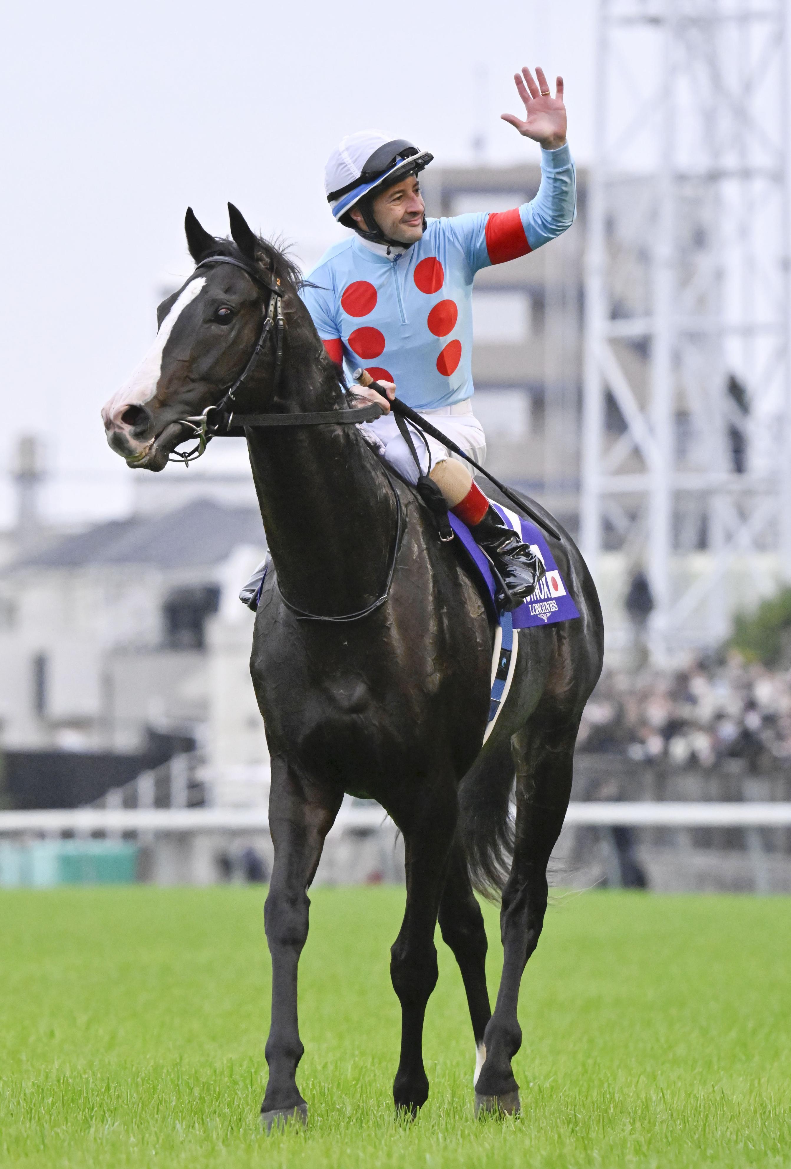 イクイノックスが2年連続年度代表馬 JRA - 産経ニュース