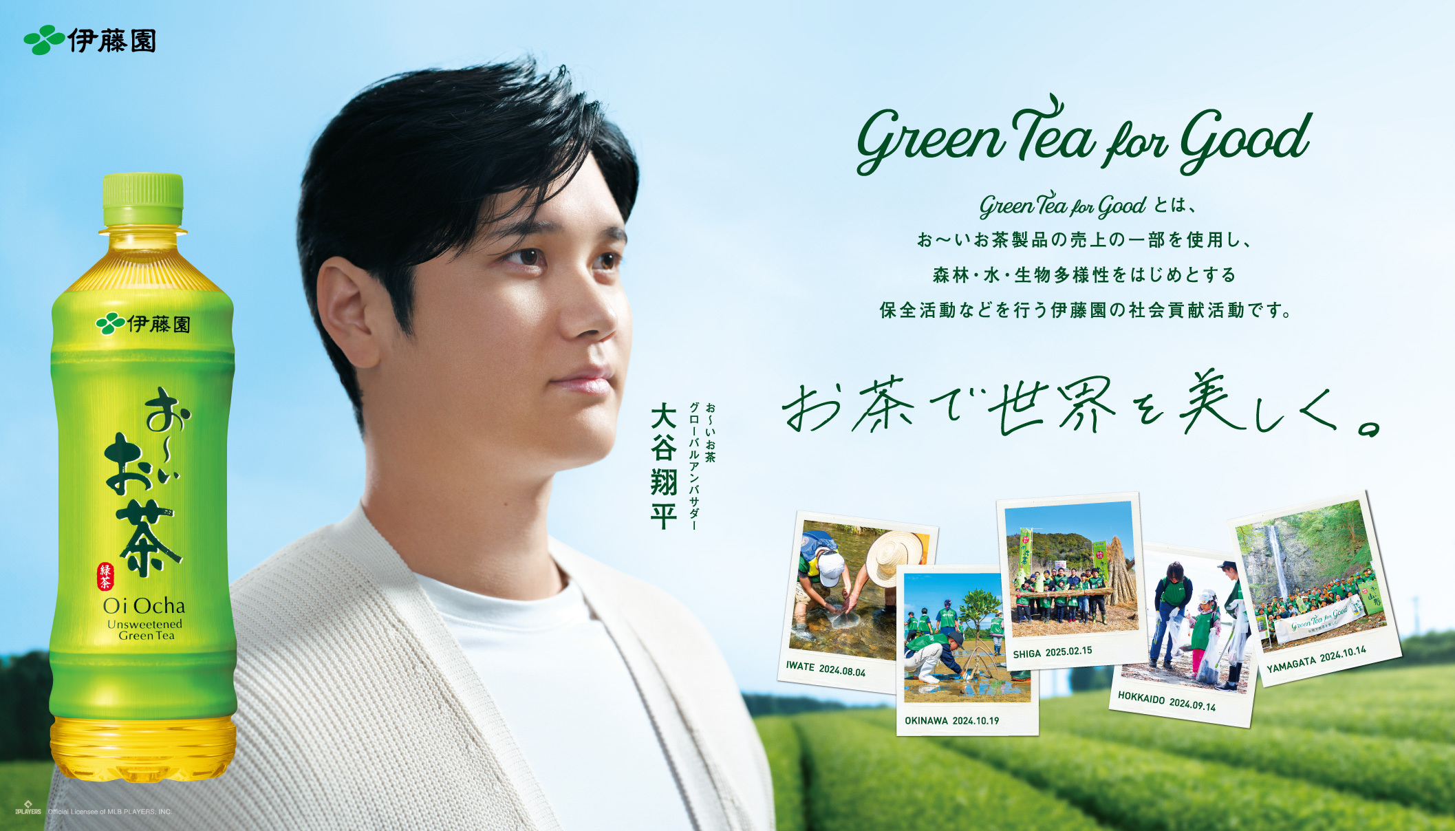 お～いお茶」大谷翔平ボトル2025夏verが6月30日から販売開始 投・打