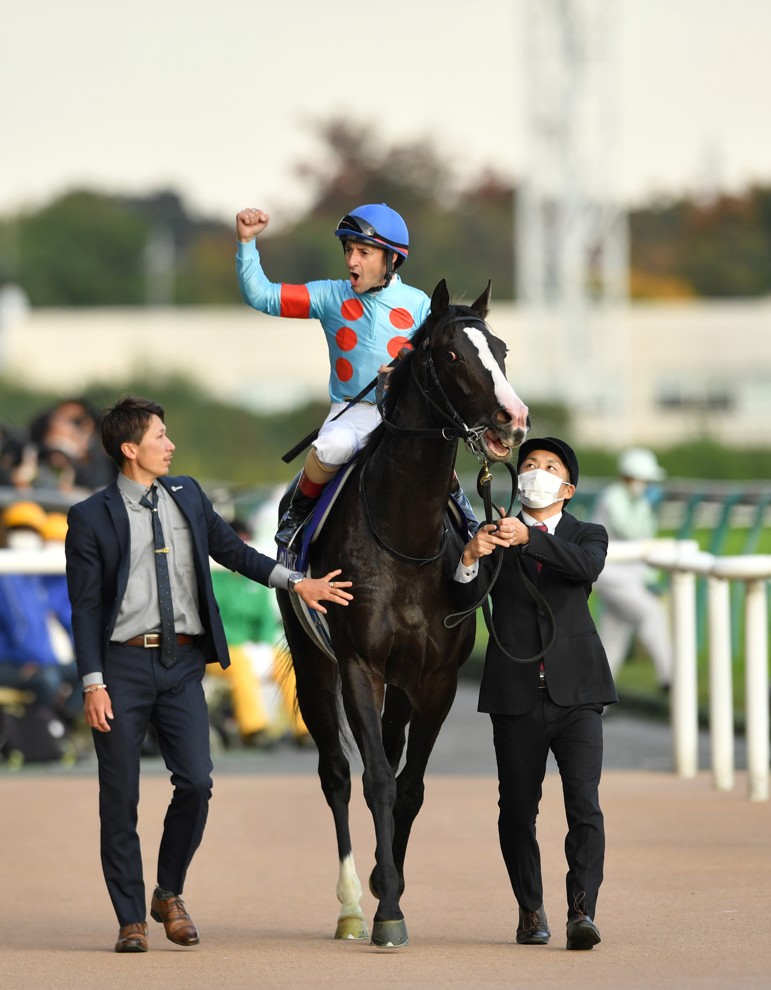 イクイノックス、大逆転で初のGⅠ制覇 天皇賞・秋 - 産経ニュース