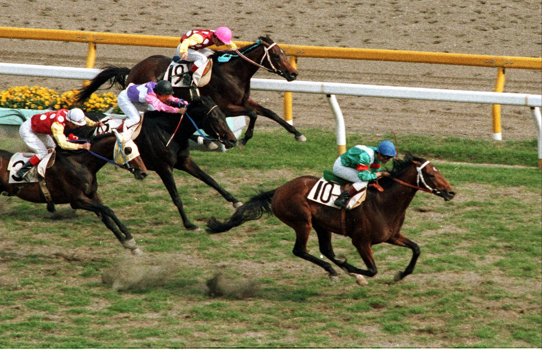 7777本即日完売 ウマ娘コラボ酒「七冠馬」の本気度 - 産経ニュース