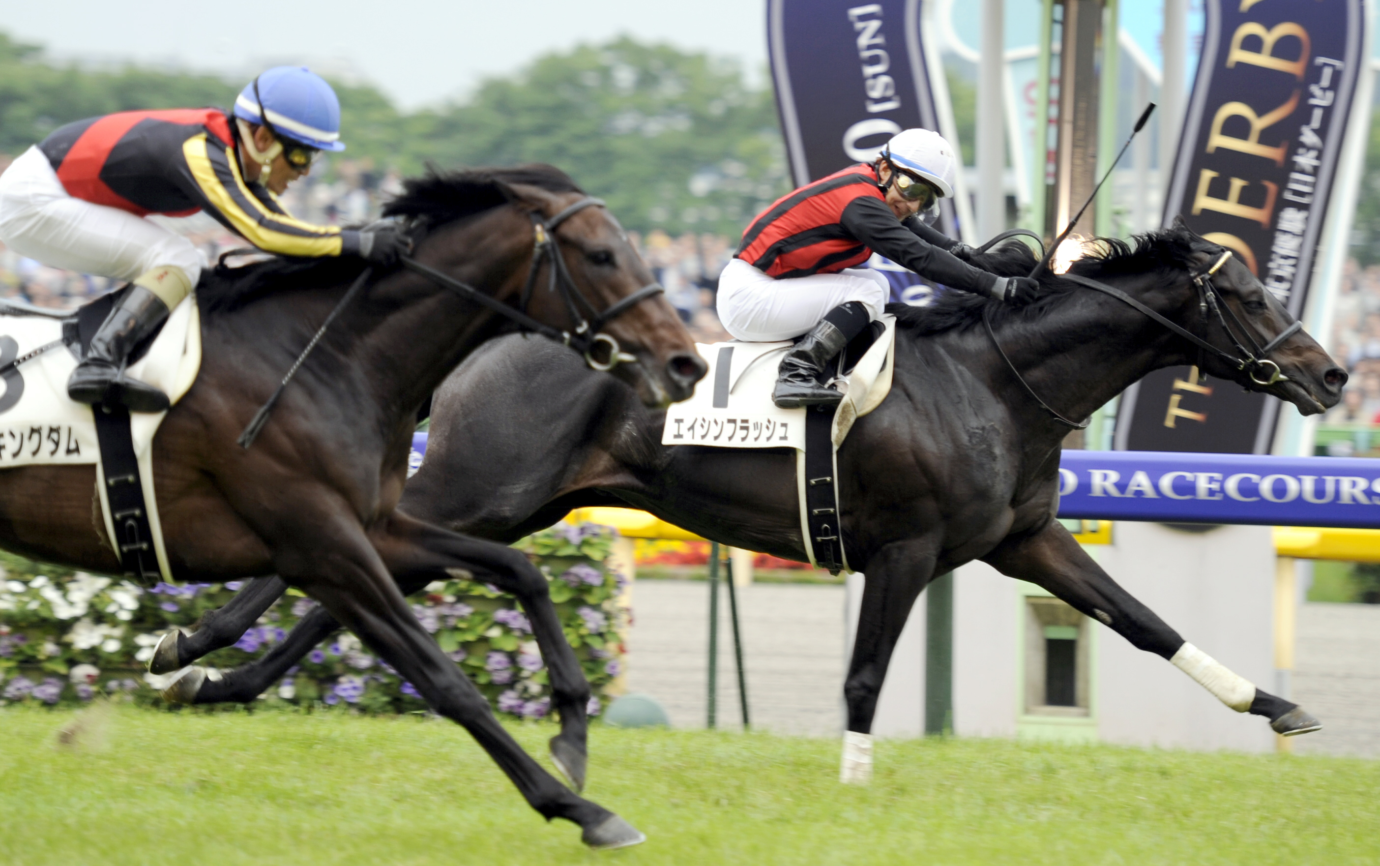 父たちの日本ダービー】10年覇者エイシンフラッシュ いまだ破られぬ