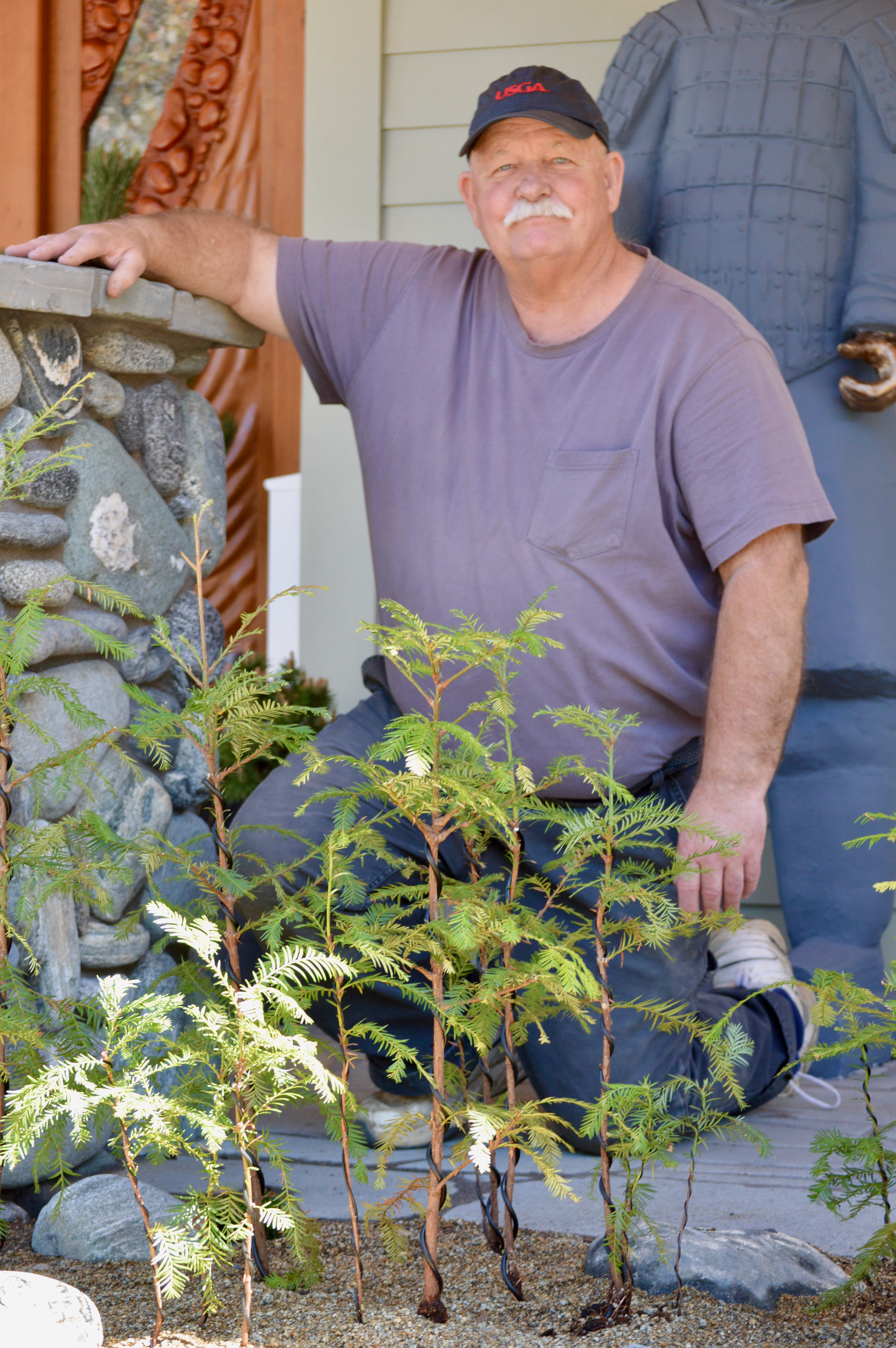 Bonsai landscape designer Lee Cheatle - oregonlive.com