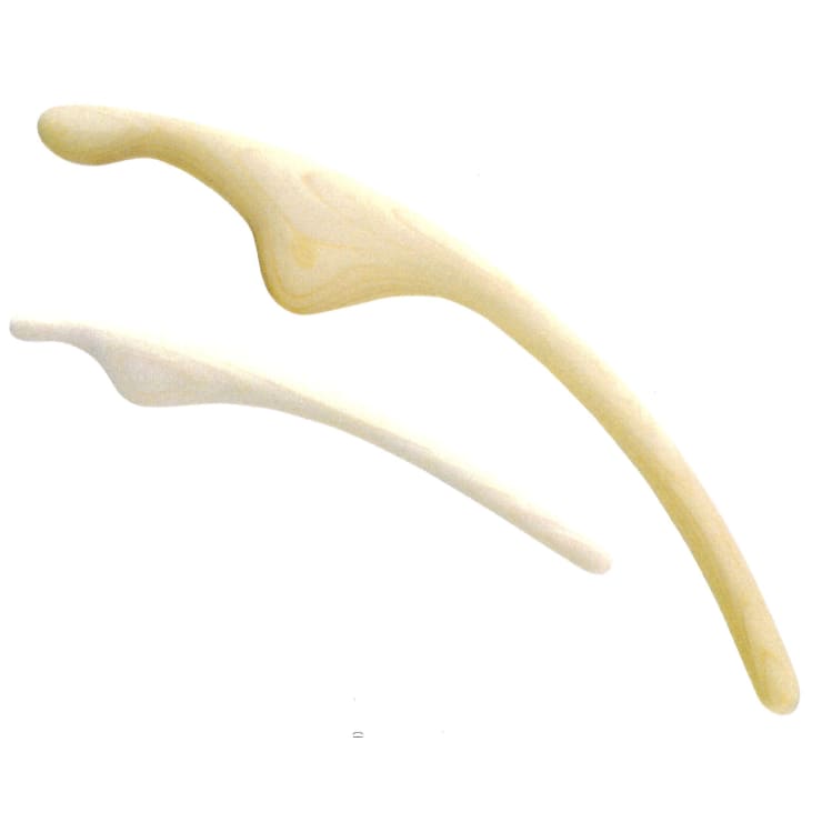 大好評のパワーツリー☆エステの世界大会で特別賞受賞※ | 彩さ美岡山店