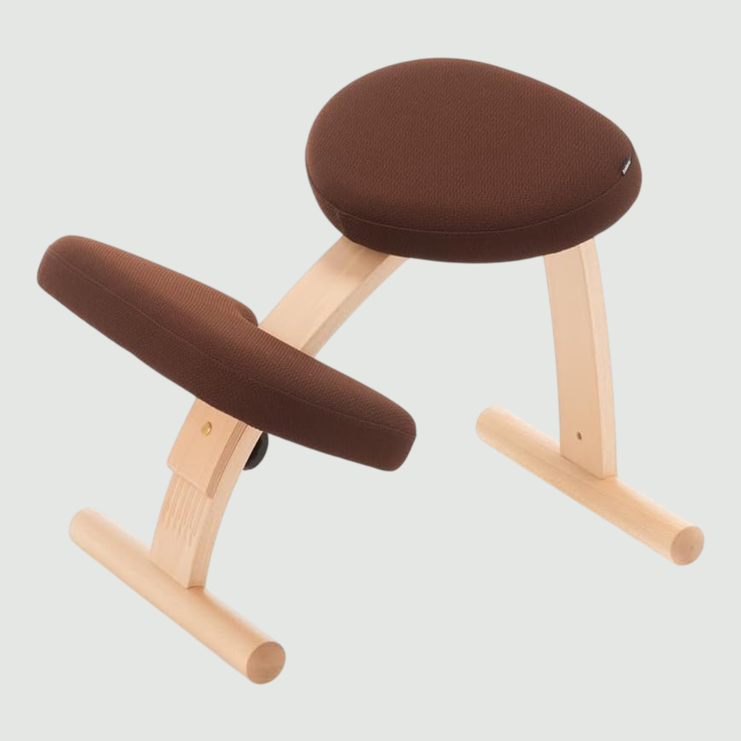 BALANS LAB バランスイージー チェア 通常フレームのレンタル