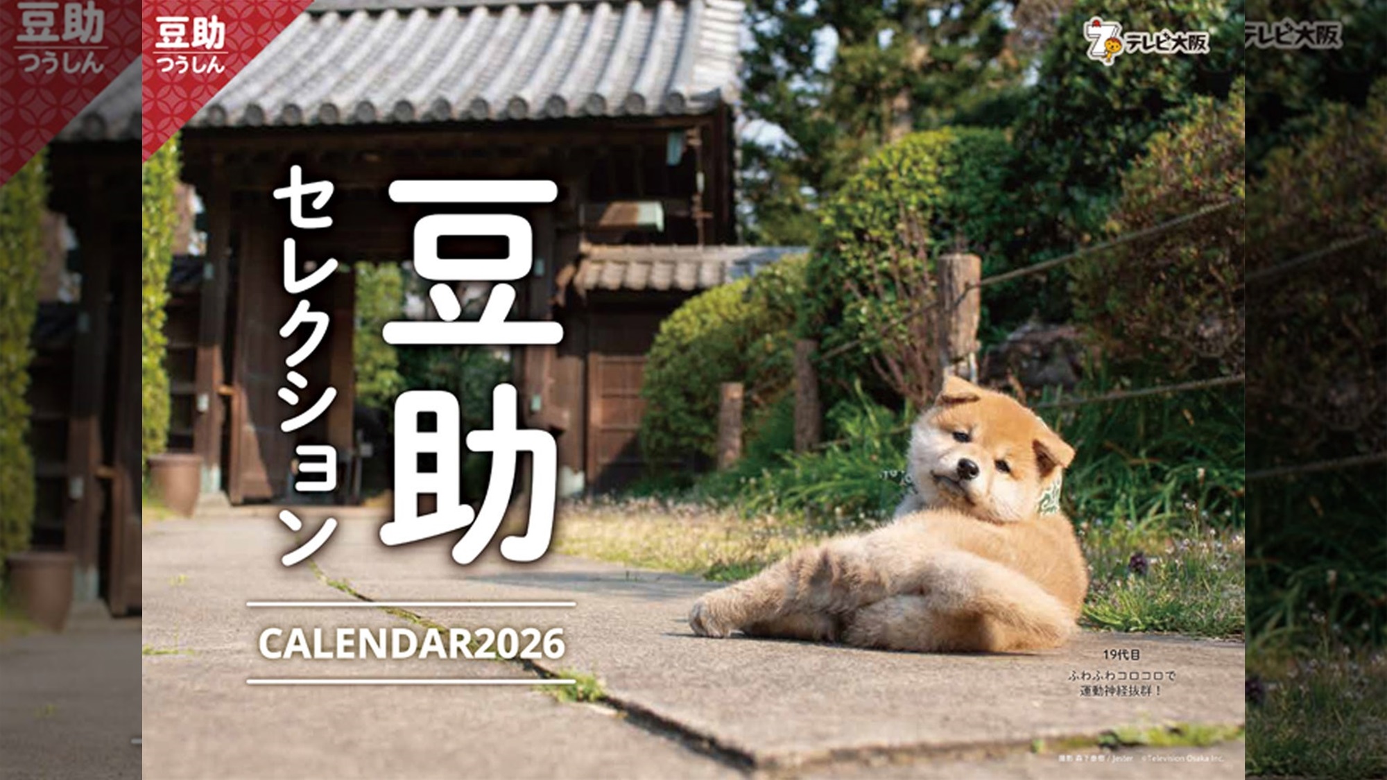 柴犬「豆助セレクションカレンダー2026」9月27日（土）発売を決定