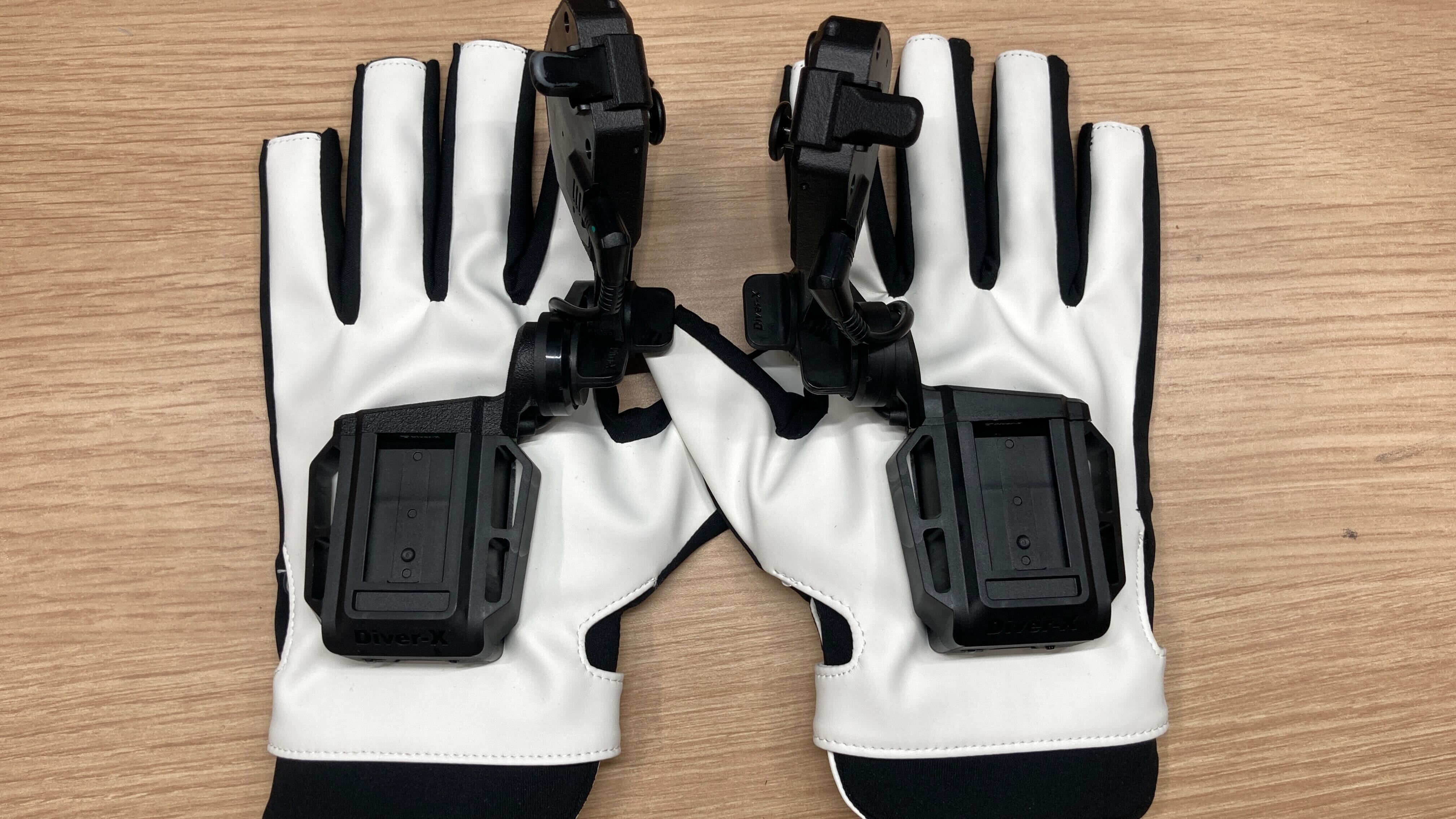 取り扱い方法 - Diver-X Document